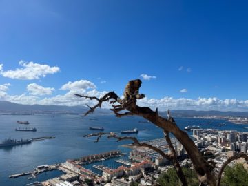 Anthropology field trip to Gibraltar 2022