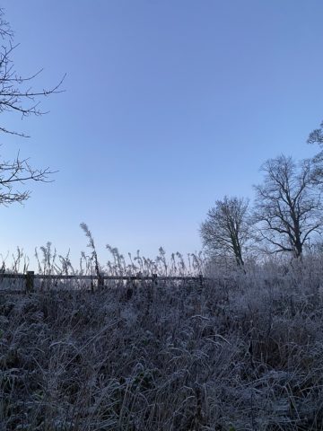 A frosty walk through Michaelmas